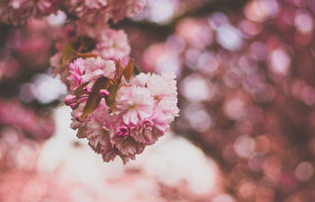 How Airloom Helps You Weather the Seasons